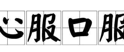 究竟服还是不服？反正我服！